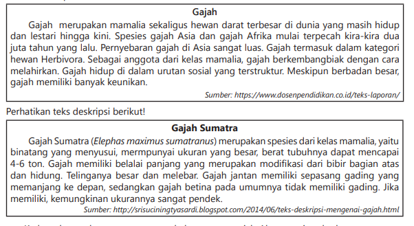 Menelaah Struktur dan Bahasa Teks Hasil Observasi Kelas 7
