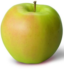 gingergold apple