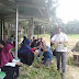 Alhamdulillah!..Hasil Panen Kacang Tanah yang Memuaskan Diawal Tahun 2020