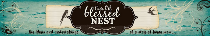 Our Li'l Blessed Nest