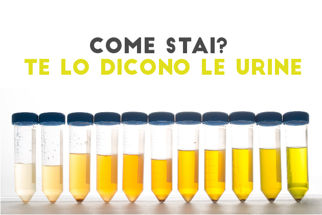 Esame fisico delle urine