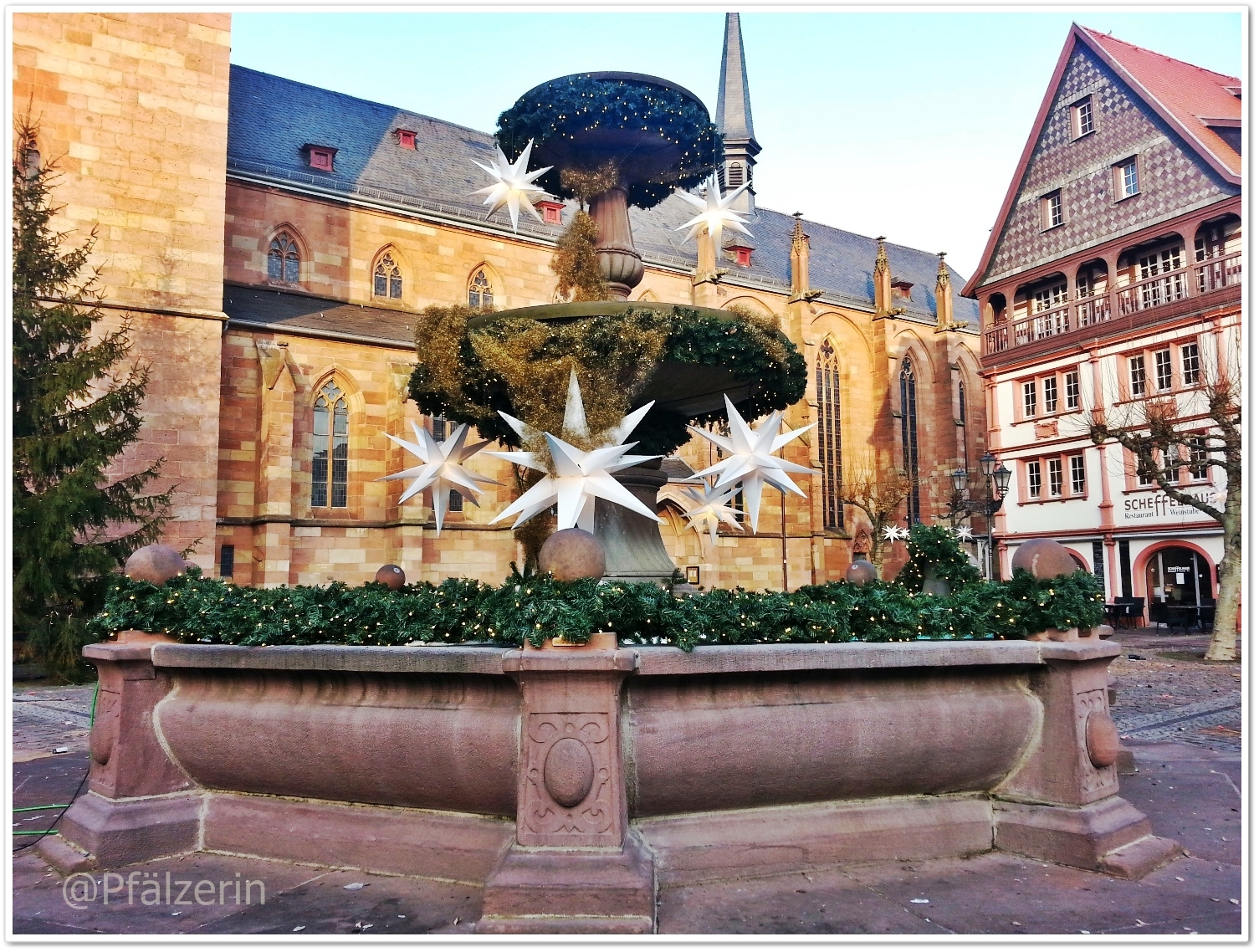 Die Pfälzerin Wer kennt die Elwetritsch?