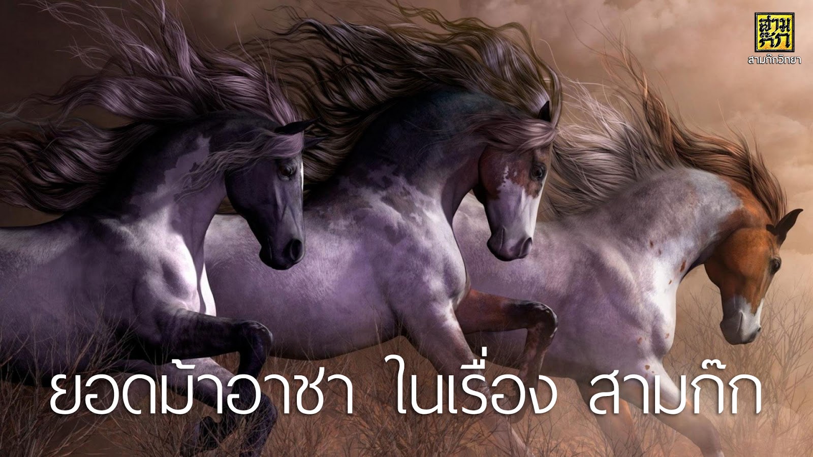 ยอดม้าอาชา ในเรื่อง สามก๊ก