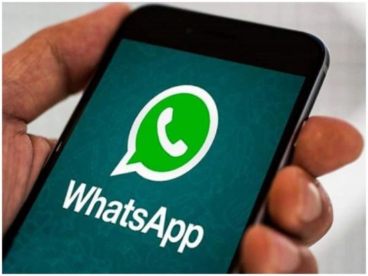 हमीरपुरः युवक ने पहले Whatsapp पर स्टेटस लगाया फिर फंदा