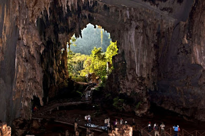 Visita el Parque Nacional Tingo María "el canto de las lechuzas"