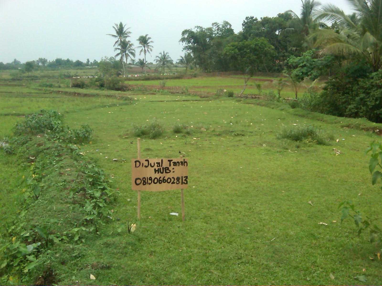 Jual Tanah Di Nongkojajar Pasuruan