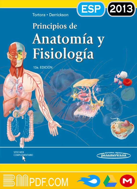 Tortora Principios de anatomía y Fisiología 13va edición PDF