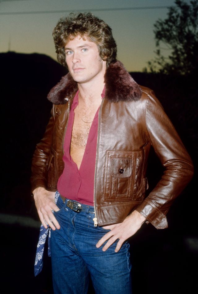Don't Hassle The Hoff! 30 Cheesy Portraits of David Hasselhoff Like You