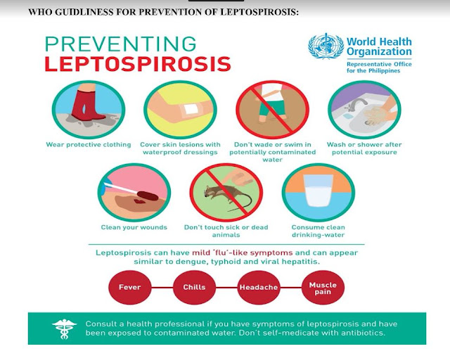 LEPTOSPIROSIS