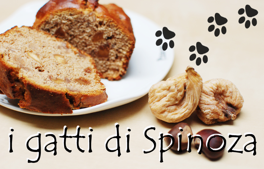 i gatti di Spinoza Kuru Incirli, Kestane Sekerli, Tarcinli, Balli