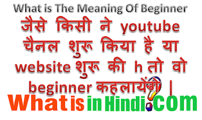What is the meaning of Beginner in Hindi