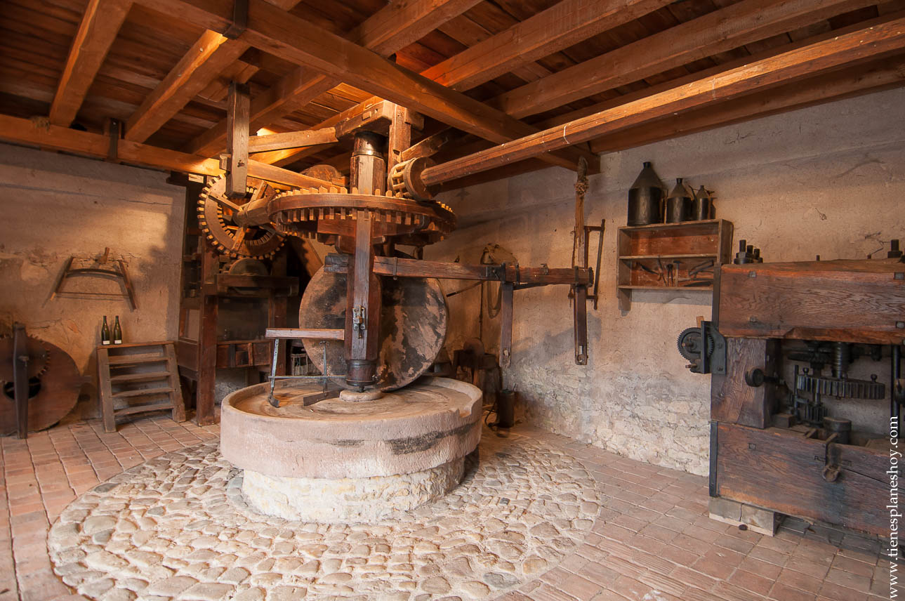 2017 ¿Tienes planes hoy?