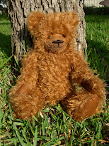 Augustus Allen Bear Cub