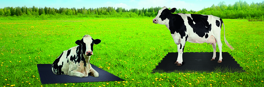 Jindal Cow Mats- A Perfect Option for Cattle Care!