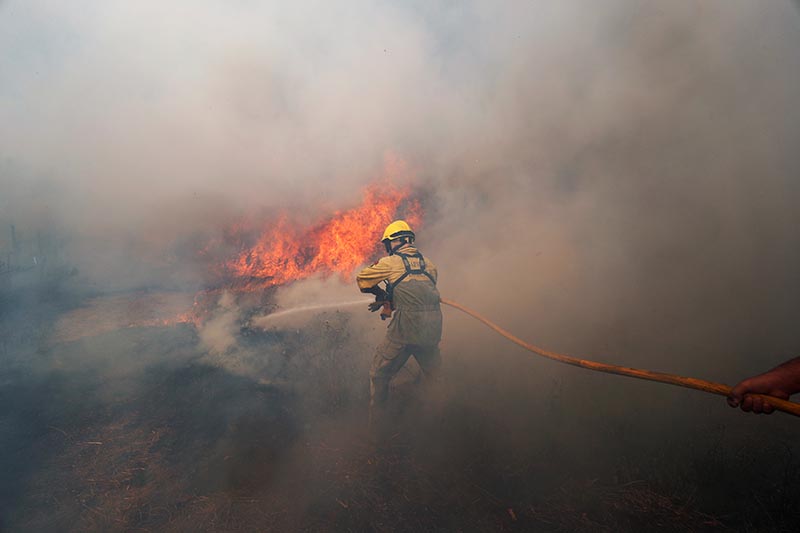 The Big Wobble The massive wildfires in Portugal over the weekend