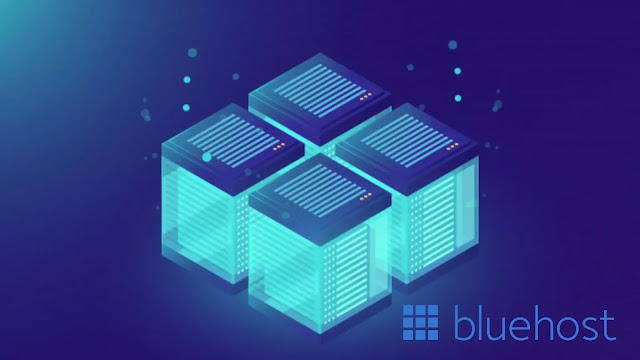 bluehost wordpress hosting india