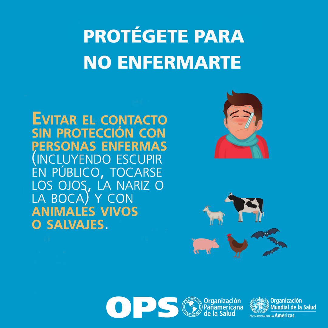 Potencias emergentes son países recientemente industrializados a los
