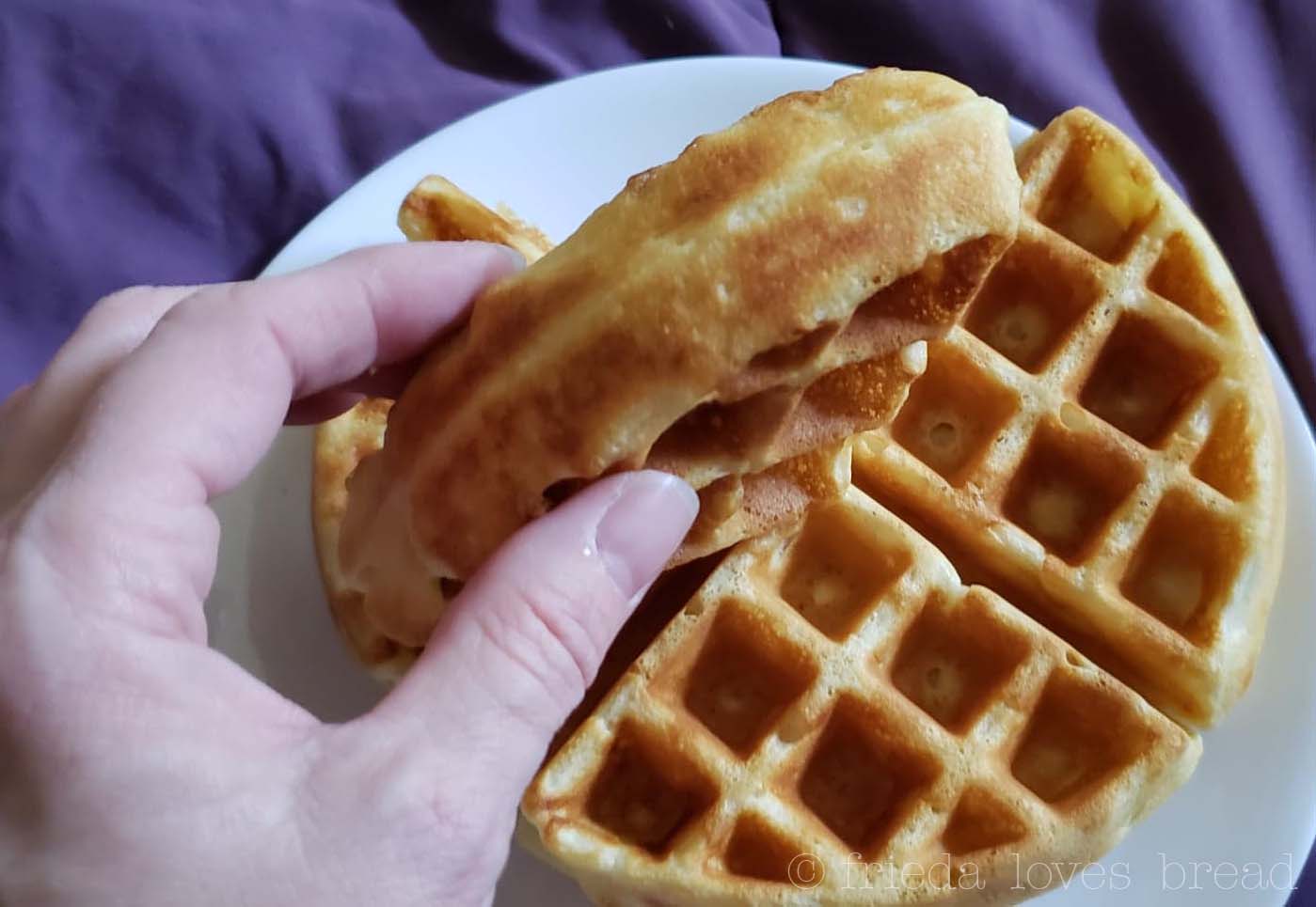 Frieda Loves Bread Presto FlipSide Belgian Waffle Maker Review