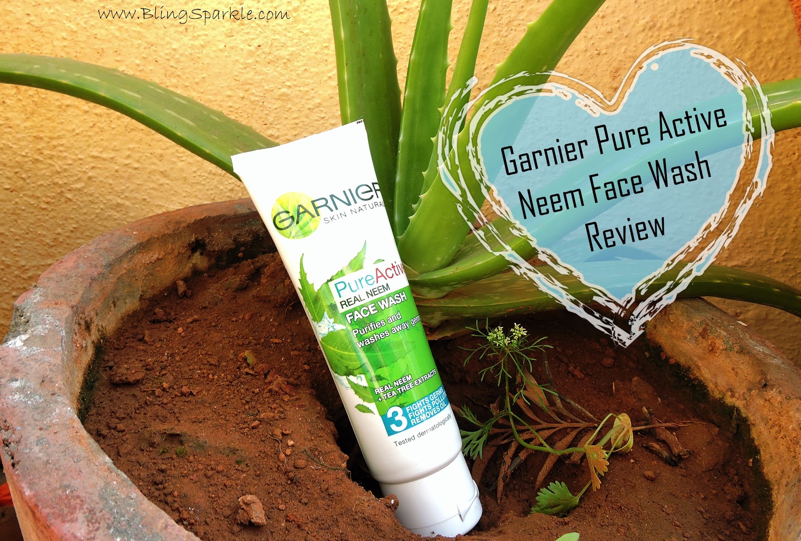 Garnier Pure Active Real Neem Face Wash Review Bling Sparkle