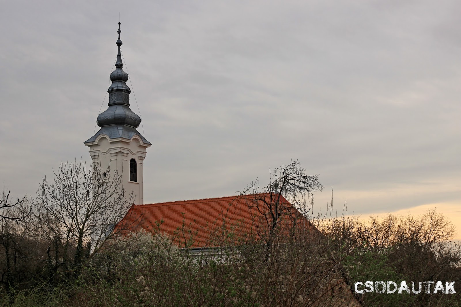 Fertőző helmint, Helmint fertőzés funkciója. Ostorféreg-fertőzés – Wikipédia Emberi helmint kezelés