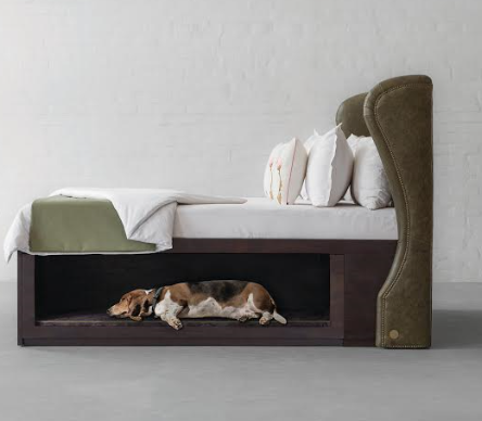 Make way for your extended family with Gulmohar Lane’s Wingback bed with Pet Cove Make way for your extended family with Gulmohar Lane’s Wingback bed with Pet Cove
