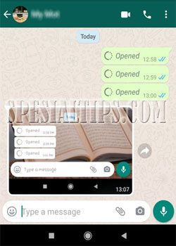 Tampilan Pesan Sekali Lihat Di WhatsApp