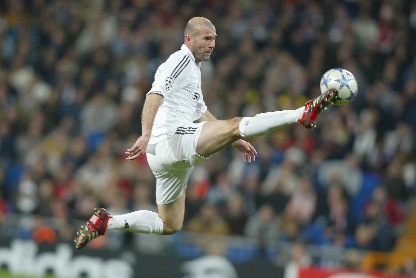 Zindine Zidane Gantikan Benitez Sebagai Pelatih Real Madrid Dan