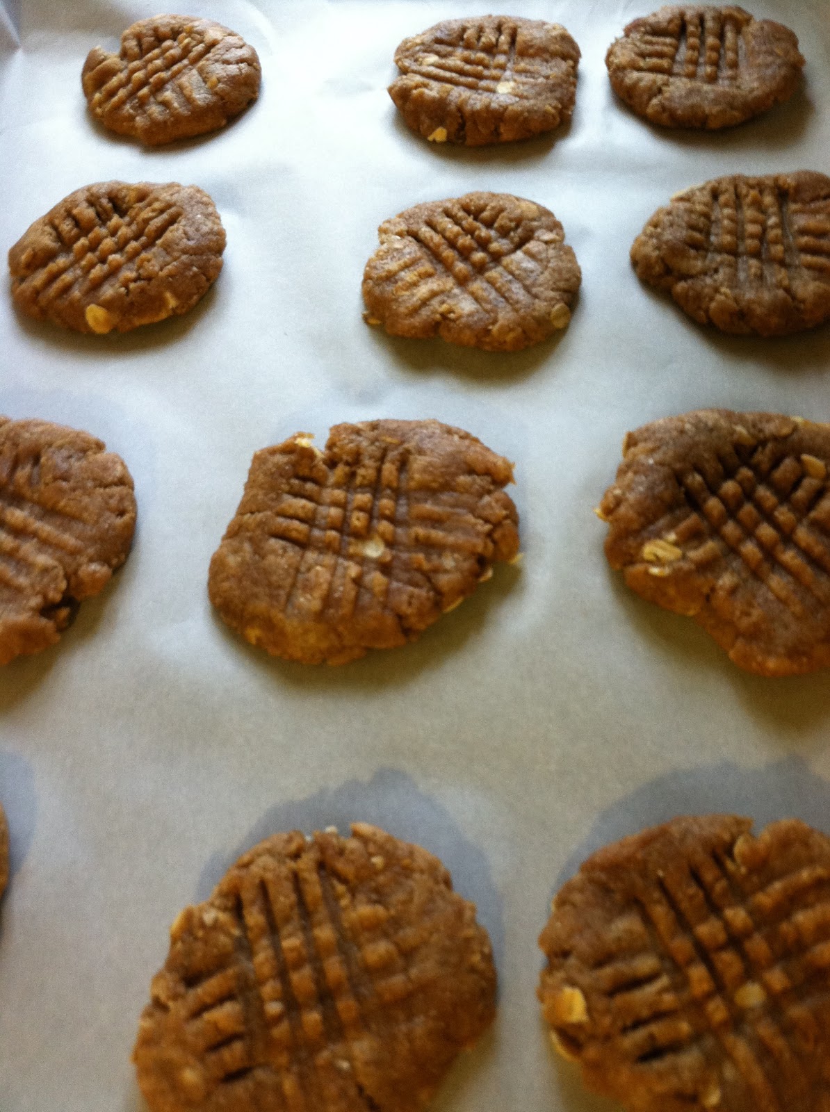 Tails of a Wife Puppydawg Biscuits