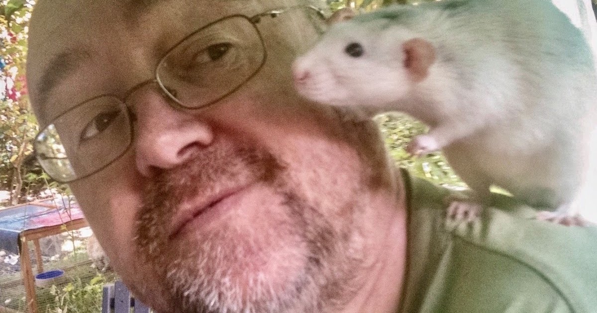 Always for Animal Rights: Episode 16: Ronnie Lee, founder of the Animal