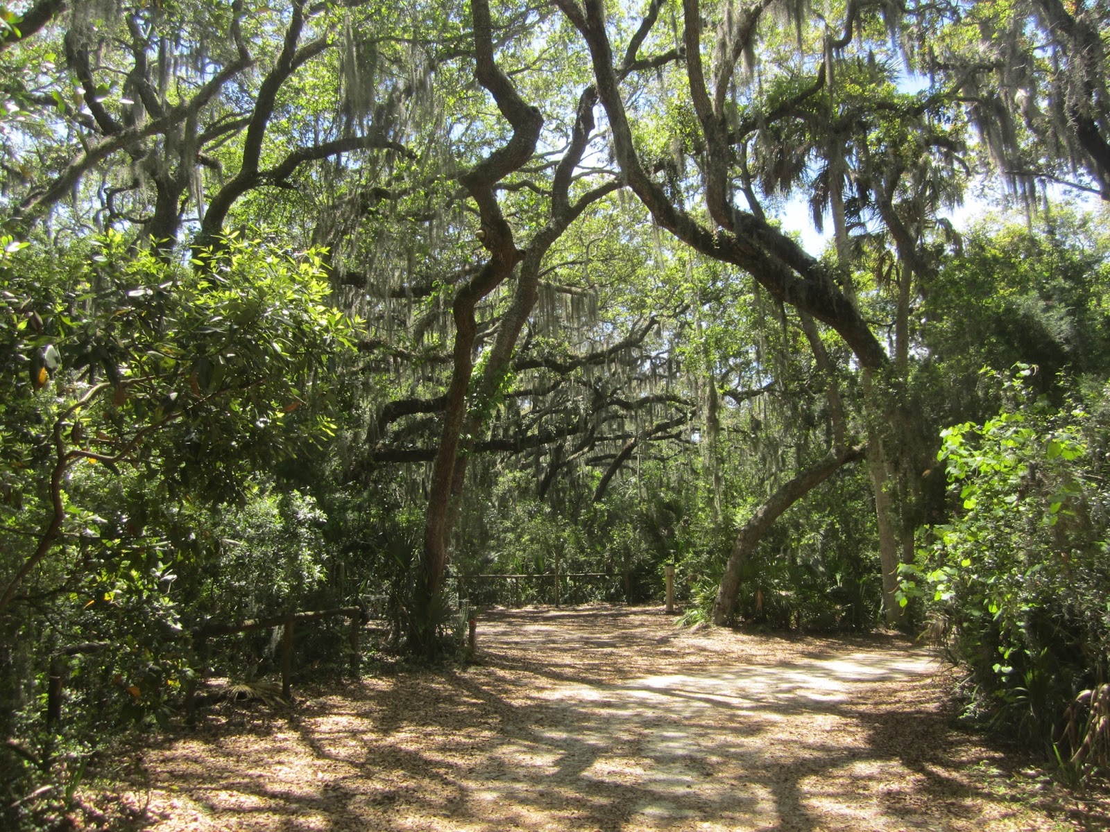Dave's Yak Tales: Kayaking and Camping, Little Talbot Island State Park