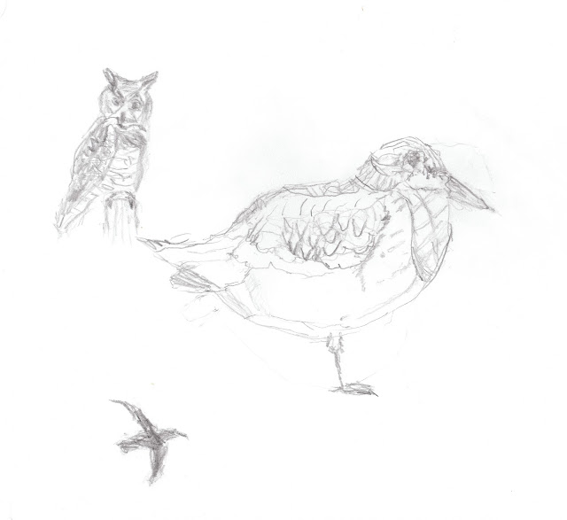 Journaling Nature: Bird Collage