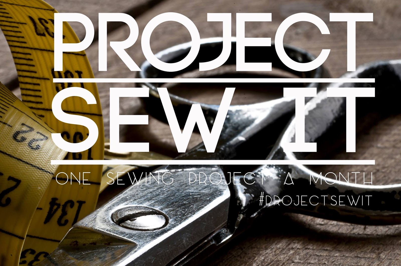 Project Sew It January 2016