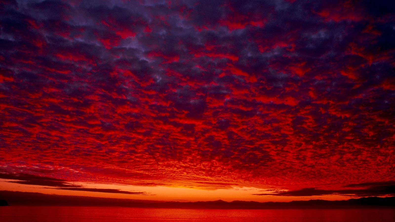 Red Skies