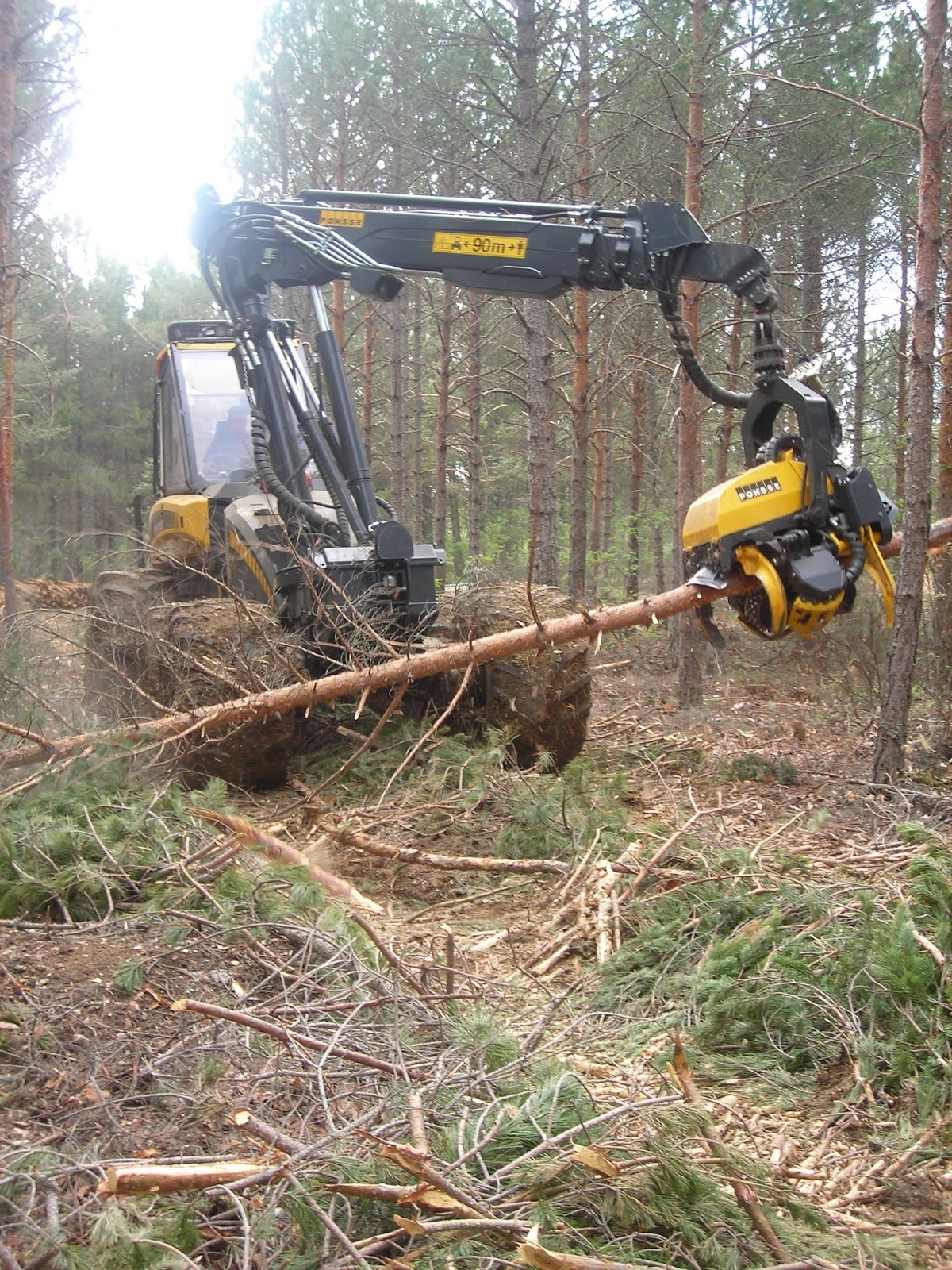 A Industria Forestal é unha actividade esencial. Criterios de A Industria Forestal é unha actividade esencial. Criterios de