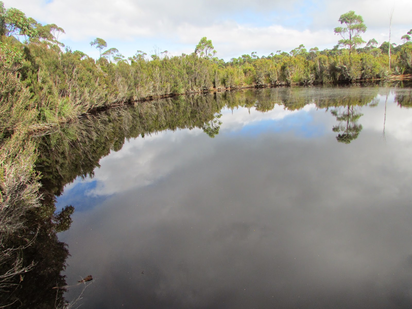 Bakers Creek Trail Hiking South East Tasmania