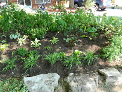 Paul Jung Gardening Services Toronto York Mills St. Andrews front garden renovation after