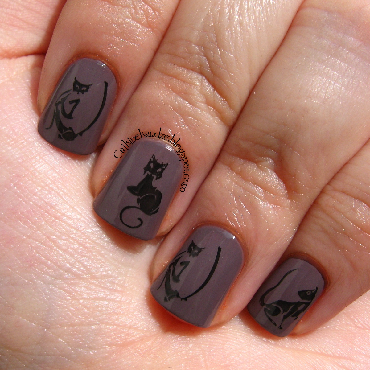 MoYou Nails 65 Cajkine kandže i sve njihove boje