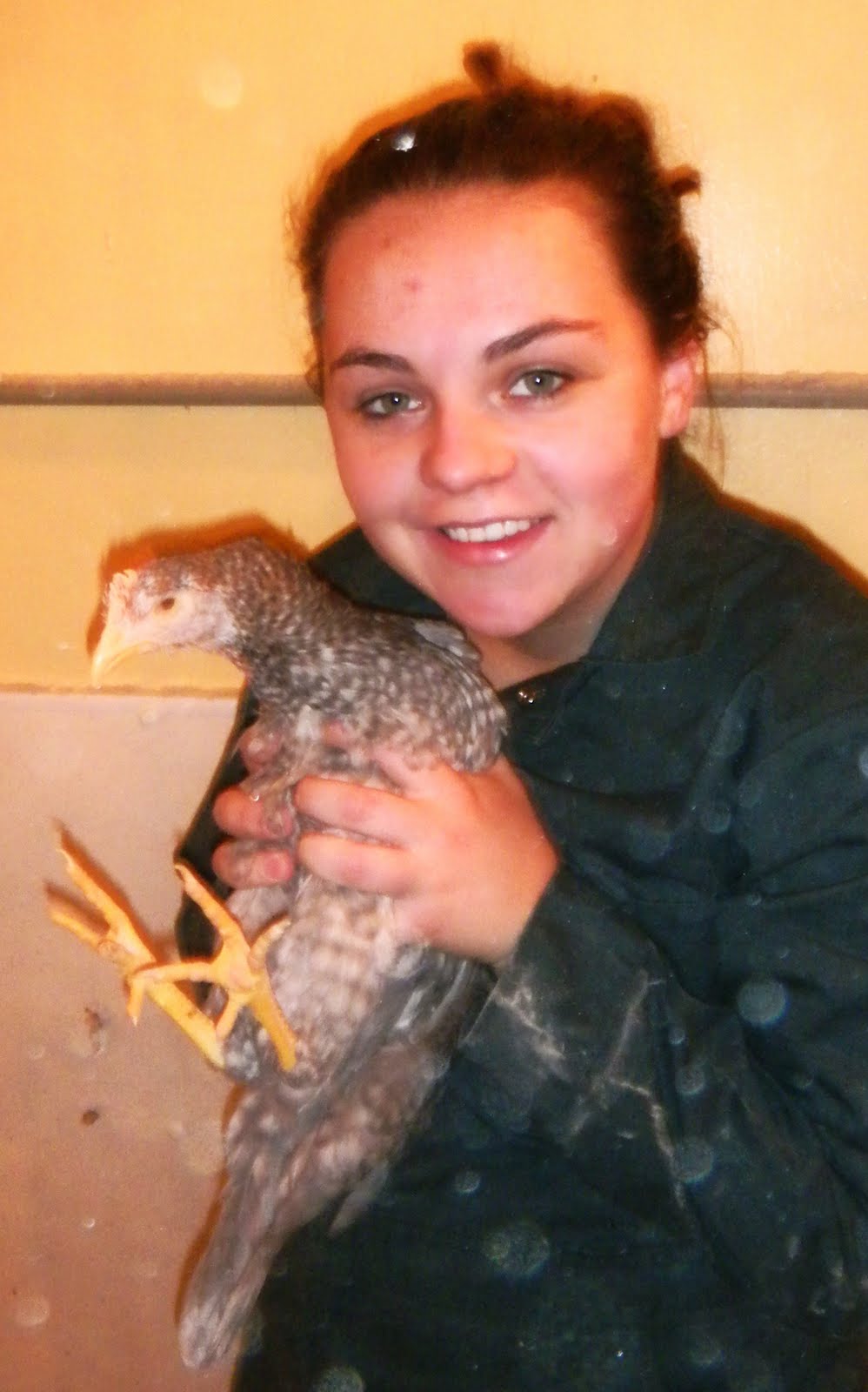 Canadian Vet Student Trying to Survive Vet School August 2011