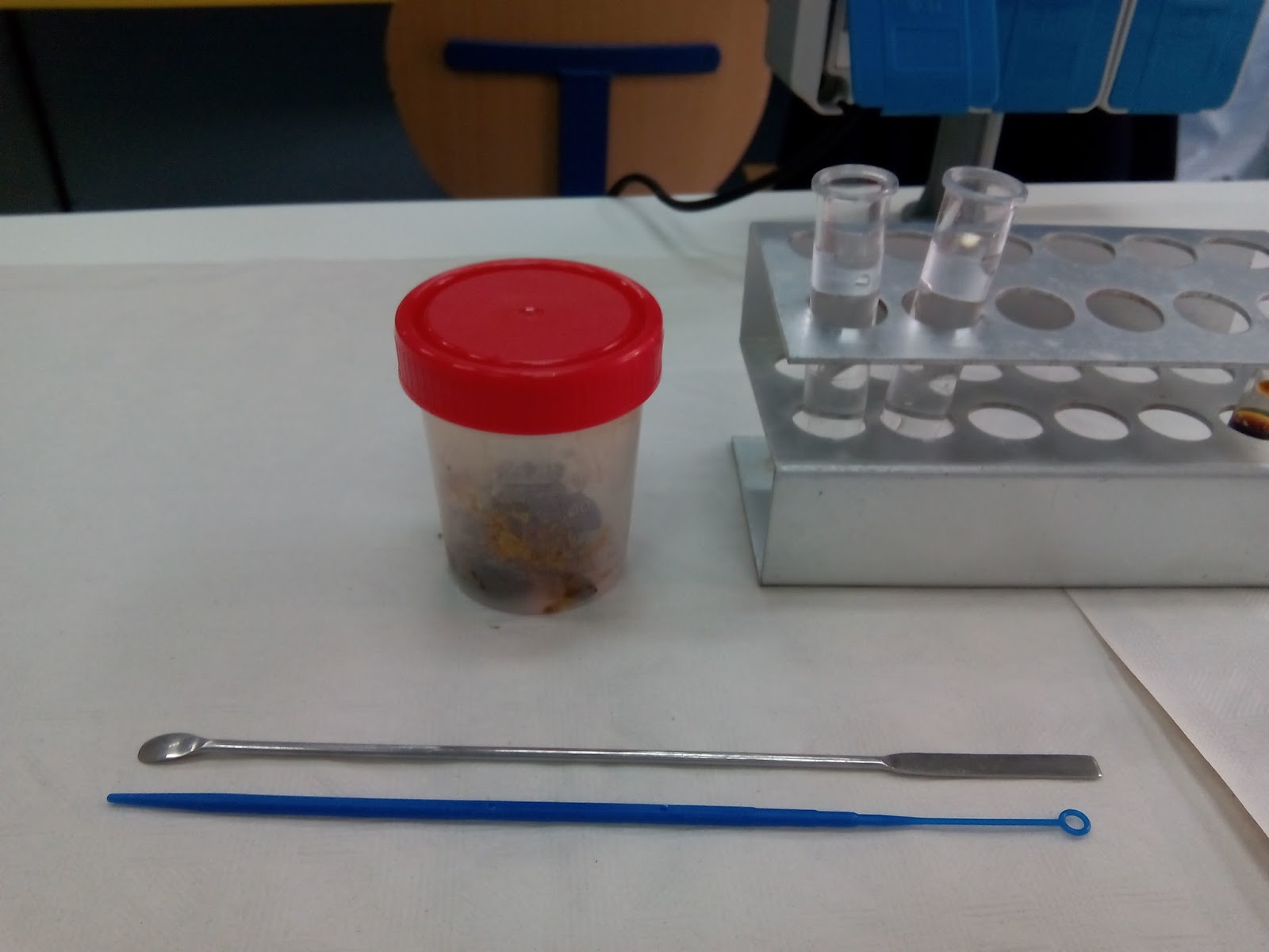 ESTUDIO DE DIGESTIÓN DE PRINCIPIOS INMEDIATOS EN HECES Fundamentos y técnicas de análisis