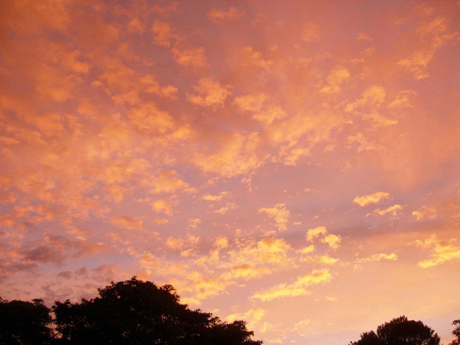 NixPixMix: DAWN SKIES NixPixMix: DAWN SKIES