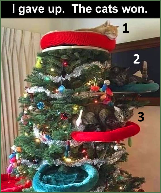 About Xmas tree. ' I gave up. The cats won About Xmas tree. ' I gave up. The cats won