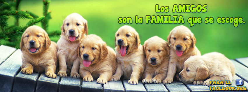 Los Amigos Son La Familia Que Se Escoge Portada Facebook