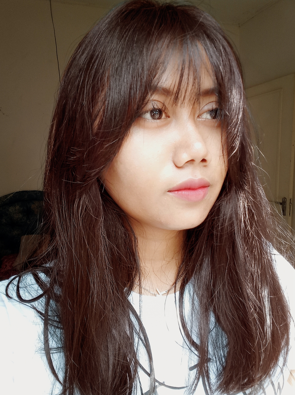 Kt Cat Rambut Sendiri Tanpa Bleaching Review Garnier Color