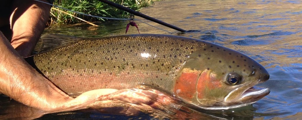 Fly Fish Oregon Water Time Report