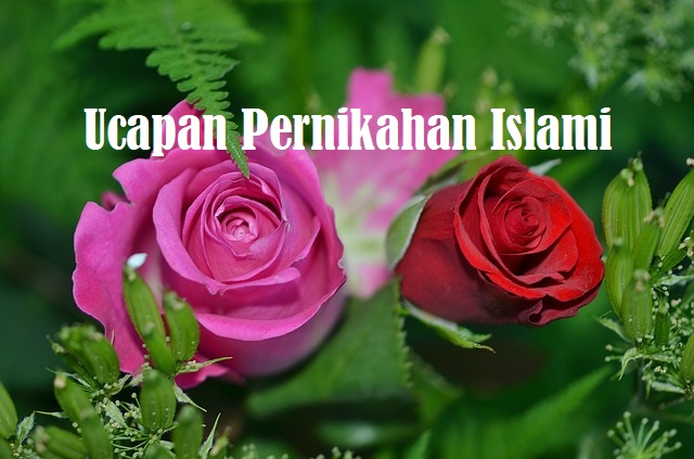 Kata Mutiara Ucapan Pernikahan Islami kata-kata Mutiara Ucapan Pernikahan