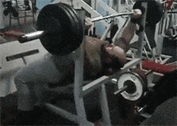 3.gif