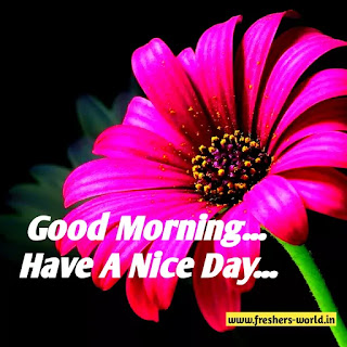 Good morning wishes with flowers images