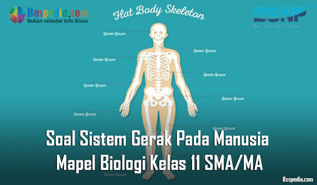 Lengkap - Soal Sistem Gerak Pada Manusia Mapel Biologi Kelas 11 SMA/MA