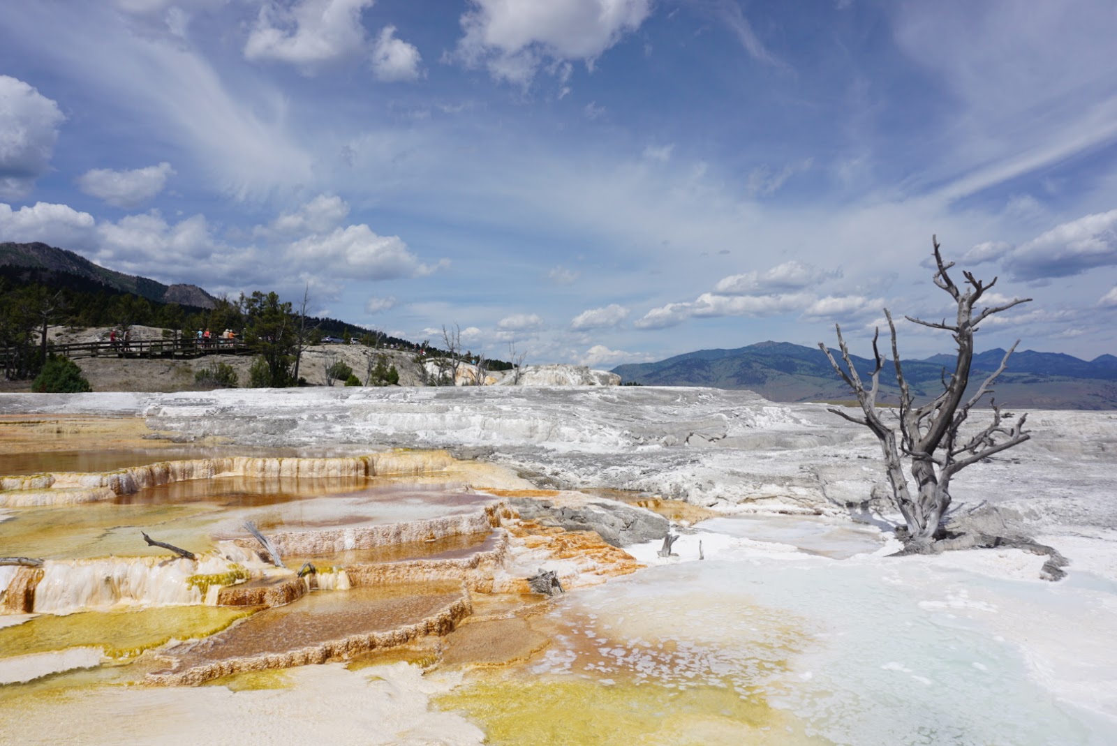 Come visitare Mammoth Hot Springs a Yellowstone