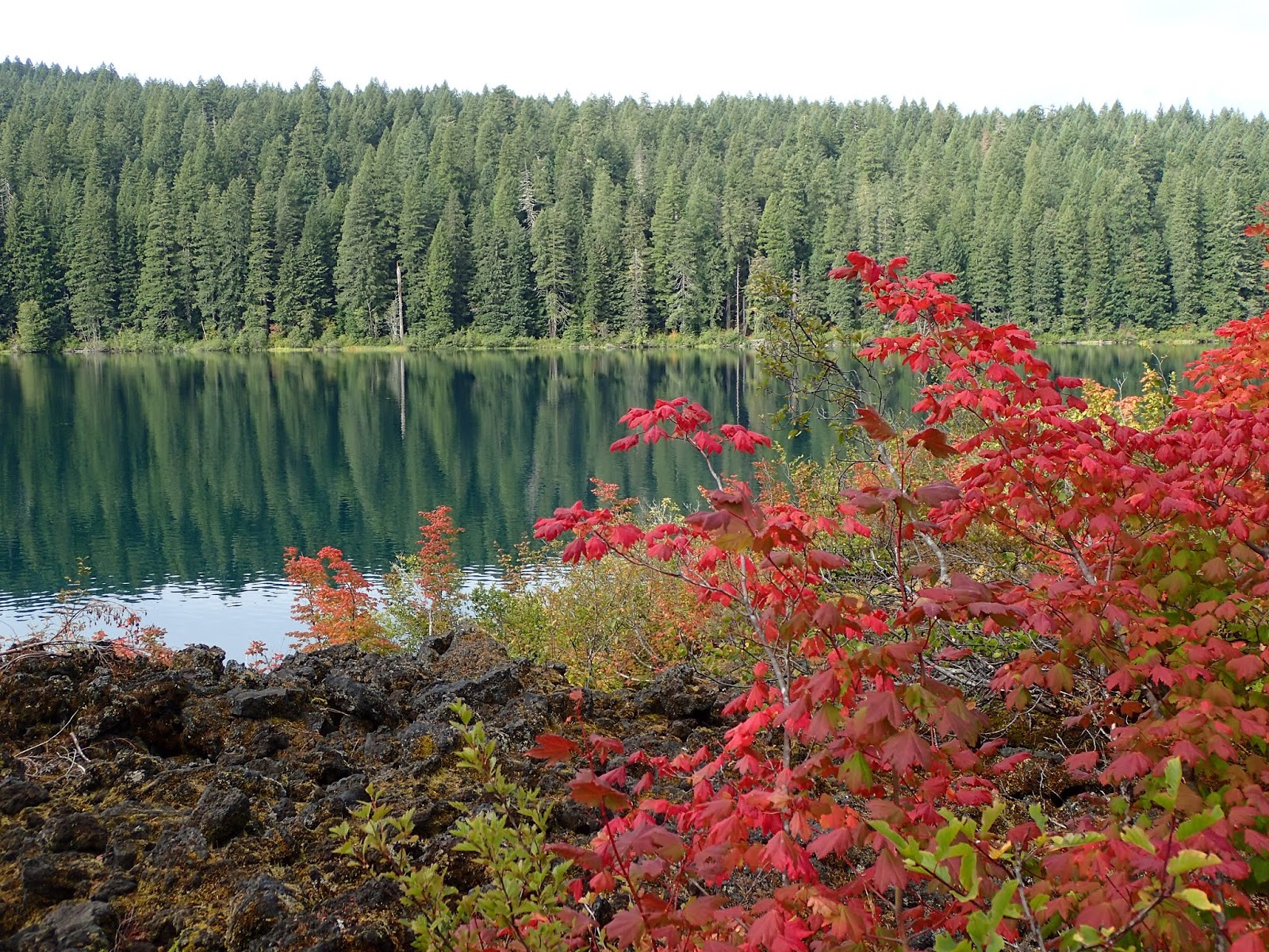 Casing Oregon Not Just Another Clear Lake